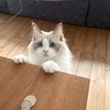 にこ