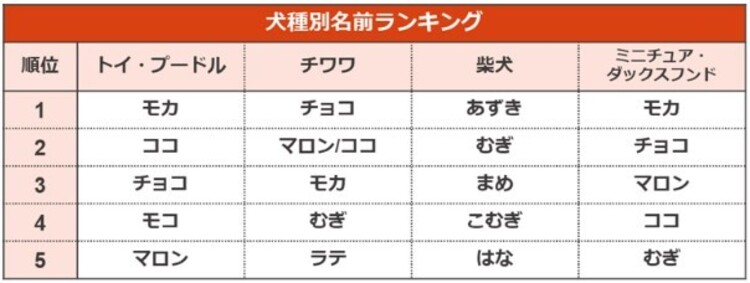 ペット手帳 あなたとペットに安心の毎日を ペット手帳 あなたとペットに安心の毎日を