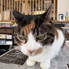 みぃ