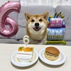 歌楽(うた)