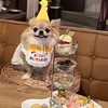 チャド