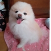 リオ