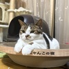 タロウ