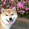 てん