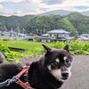 くうた