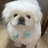 ベル