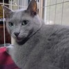 あっしゅ