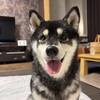 はっち