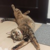 ジュリ