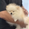 ルナ