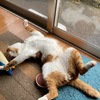 なつ