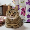 そら