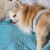 美衣都