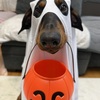 ポッツ