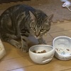 オズ