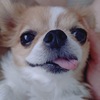 なな