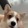 多聞