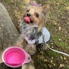 二階堂蘭
