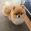 くう