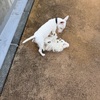76ちゃん