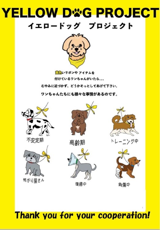 ペット手帳 | あなたとペットに安心の毎日を