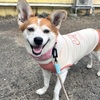 和